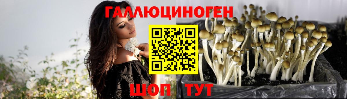 Галлюциногенные грибы GOLDEN TEACHER  Псилоцибиновые грибы ЛСД  Вход с VPN  Лысьва 